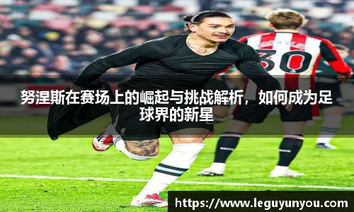 努涅斯在赛场上的崛起与挑战解析，如何成为足球界的新星
